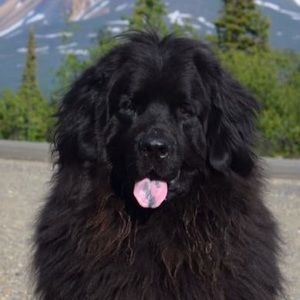 Meet your Posher, Tanya